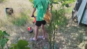 Что делать на даче