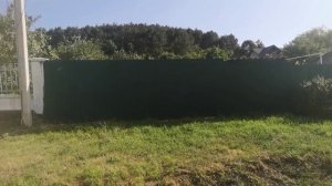 Съездила в Денисовку за растениями. Очень уютное село!