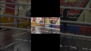 чемпион Москвы муай Тай