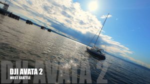 🌊 Полёт над заливом Пьюджет-Саунд с DJI Avata 2