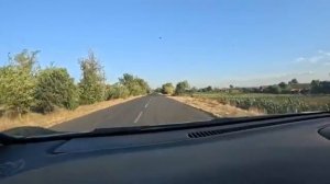 Наталья Губарева. ПРОВОЖАЮ АЛИСУ ДОМОЙ...