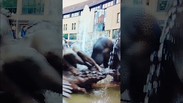 брачная карусель