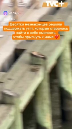 vkclips_20250623091904