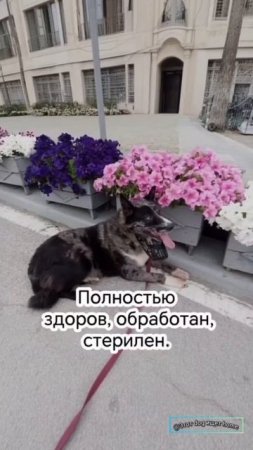 Будь рядом со мной!