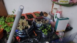 02-07-2025