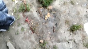 посмотрите это видео и подпишитесь на мой канал пожалуйста