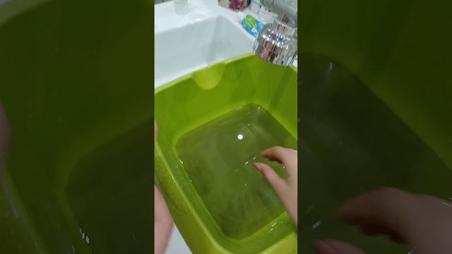 ватный диск