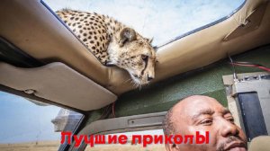 Лучшие приколы | Смех до слез | Подборка приколов 👍🔥