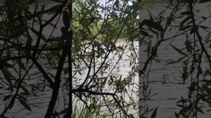 YouCut_20250702_124148355.mp4