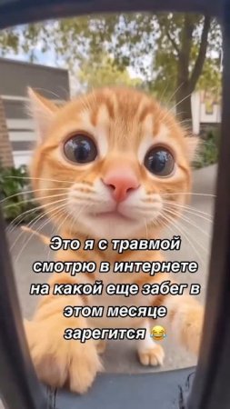 -5310153770988600858