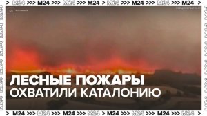 Лесные пожары охватили Каталонию - Москва 24