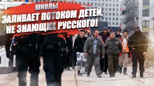 9 учеников не знают русского языка, причём 7 – уже граждане РФ!