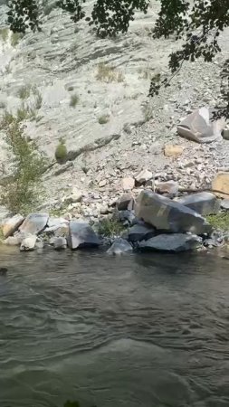 1000137248.mp4