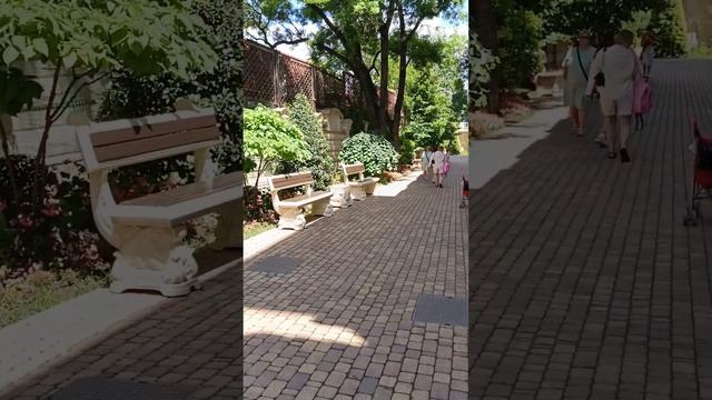 Сбежали из Анапы в Кабардинку смотреть онлайн