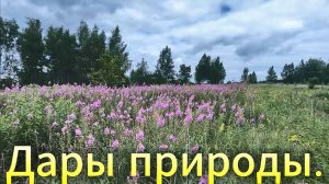 Поездка за дарами природы
