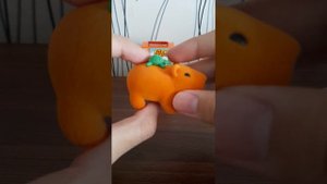 Капибарчик свит бокс! Капибары в свит бокс! распаковка сюрпризов! Тигр