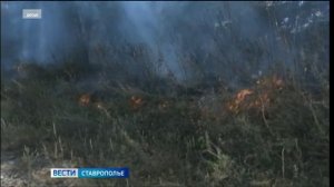 На Ставрополье введен особый противопожарный режим