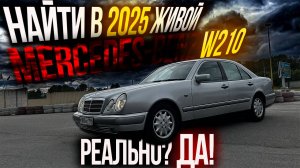 НАЙТИ в 2025 ЖИВОЙ MERCEDES-BENZ W210