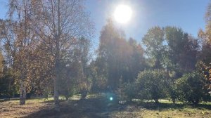 01.10.2024 осень парк Ломоносова г. Архангельск