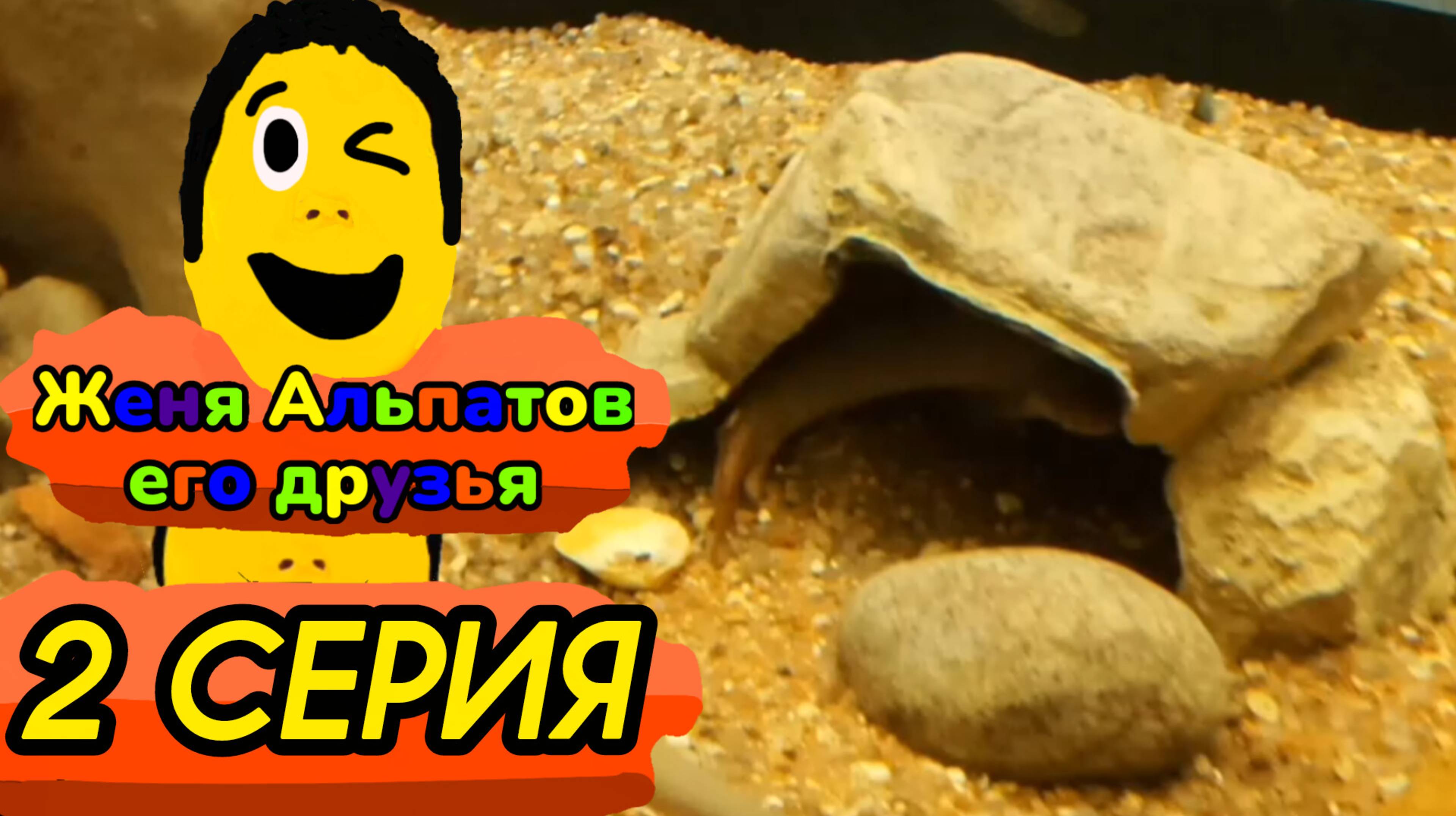2 серия (Женя Альпатов его друзья)