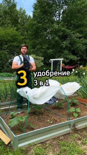 Топ-5 органических удобрений для огурцов и это не навоз #сад #дача #огород #огурцы #garden #урожай