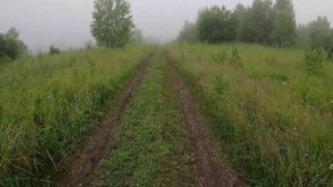 День 508. Туман - без просветный. Дистанция 11 километров.
