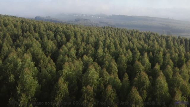 Не включай если не готов к абсолютной гармонии - Unconscious -- selfpity -- Unhappy Thoughts