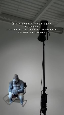 Горилла сидит и смотрит по сторонам 🦍