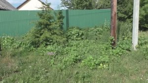 Я на даче 29.06.2025