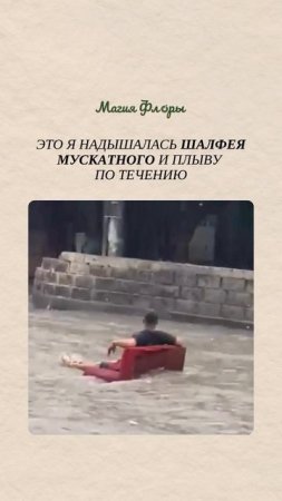 Эликсир спокойствия и ясности мыслей: эфирное масло шалфея мускатного ✨