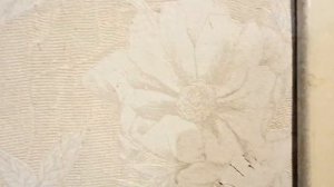 Сдаем 1 комнатную на Комарова