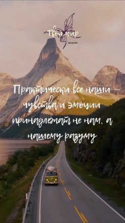 Практически все наши чувства и эмоции принадлежат не нам, а нашему разуму
❤️❤️❤️❤️❤️❤️
