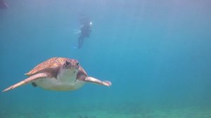 Tenerife1080MP4