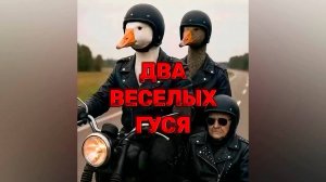 Жили у бабуси два весёлых гуся - Рок клип