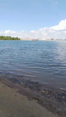 Летом на заливе