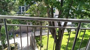 Румтур из номера с трехразовым питанием на БО Рассвет на Чёрном море