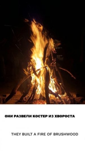 Хворост