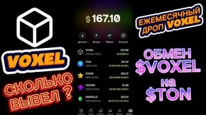 Voxel ежемесячный обмен воксель на Ton. Сколько вывел? Дроп и вывод денег. айрдроп.
