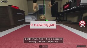 опыт стримера