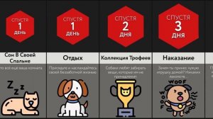 Если Вы Станете Собакой