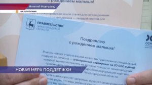 Родительский основной доход «Основа» начали выплачивать нижегородским семьям с детьми