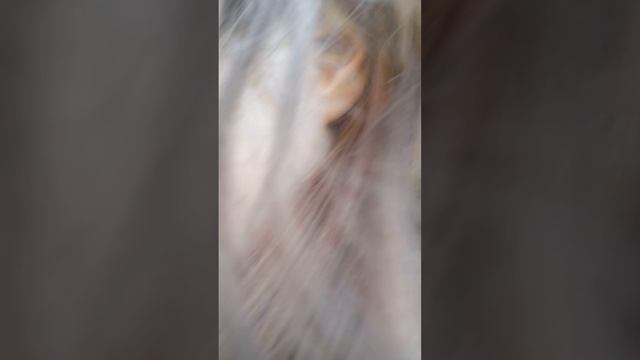 1000001670.mp4