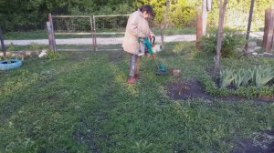 Жизнь в деревне - Конец апреля , косим траву