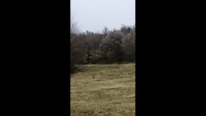 2023 ноябрь будни