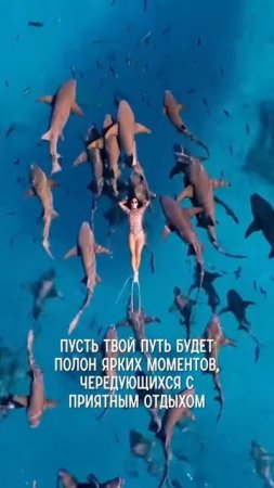 Скажи это себе! Аффирмация #аффирмации #позитив #уверенность #саморазвитие #личностныйрост