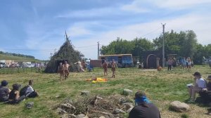 Как дикие кошка и собака стали жить с первобытными людьми