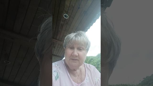 Всем спокойной ночи