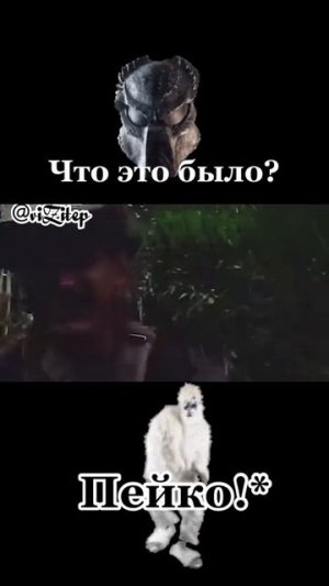 Пейко! 👾
