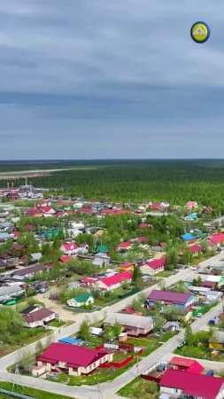 Лето в самом разгаре. Красноселькуп утопает в зелени🌳