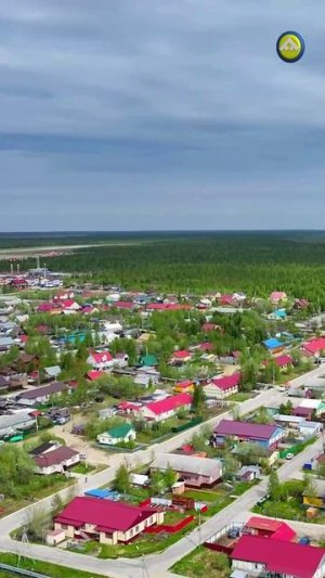 Лето в самом разгаре. Красноселькуп утопает в зелени🌳